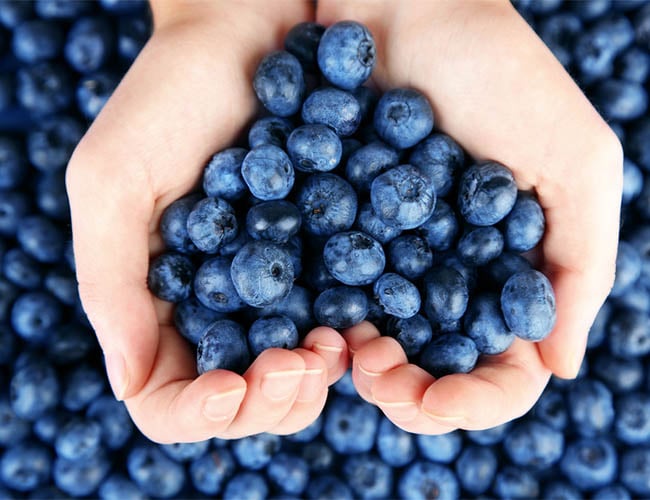 抗老化推薦超級食物之二：藍莓